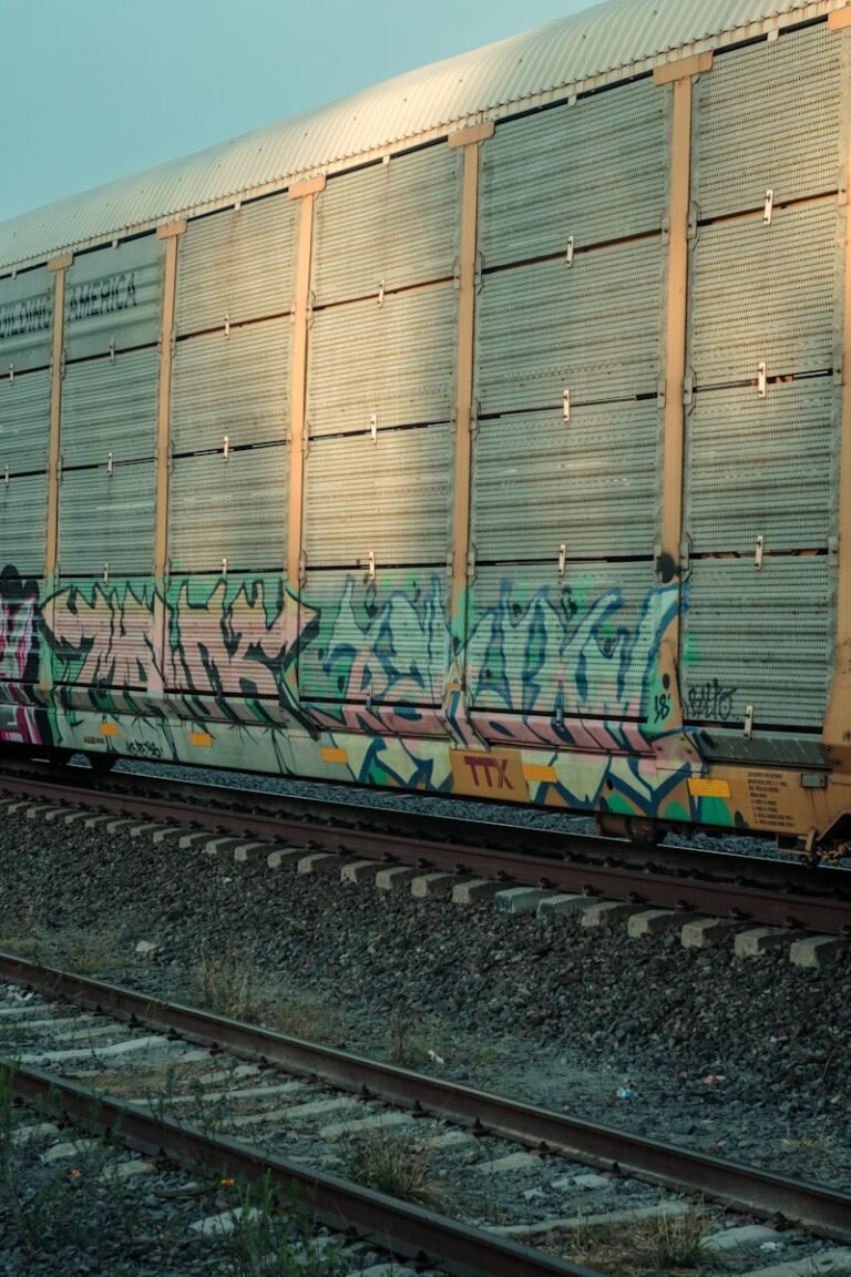 a train with graffiti on the side of it